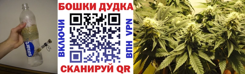 Бошки Шишки AK-47  сколько стоит  Ильский 